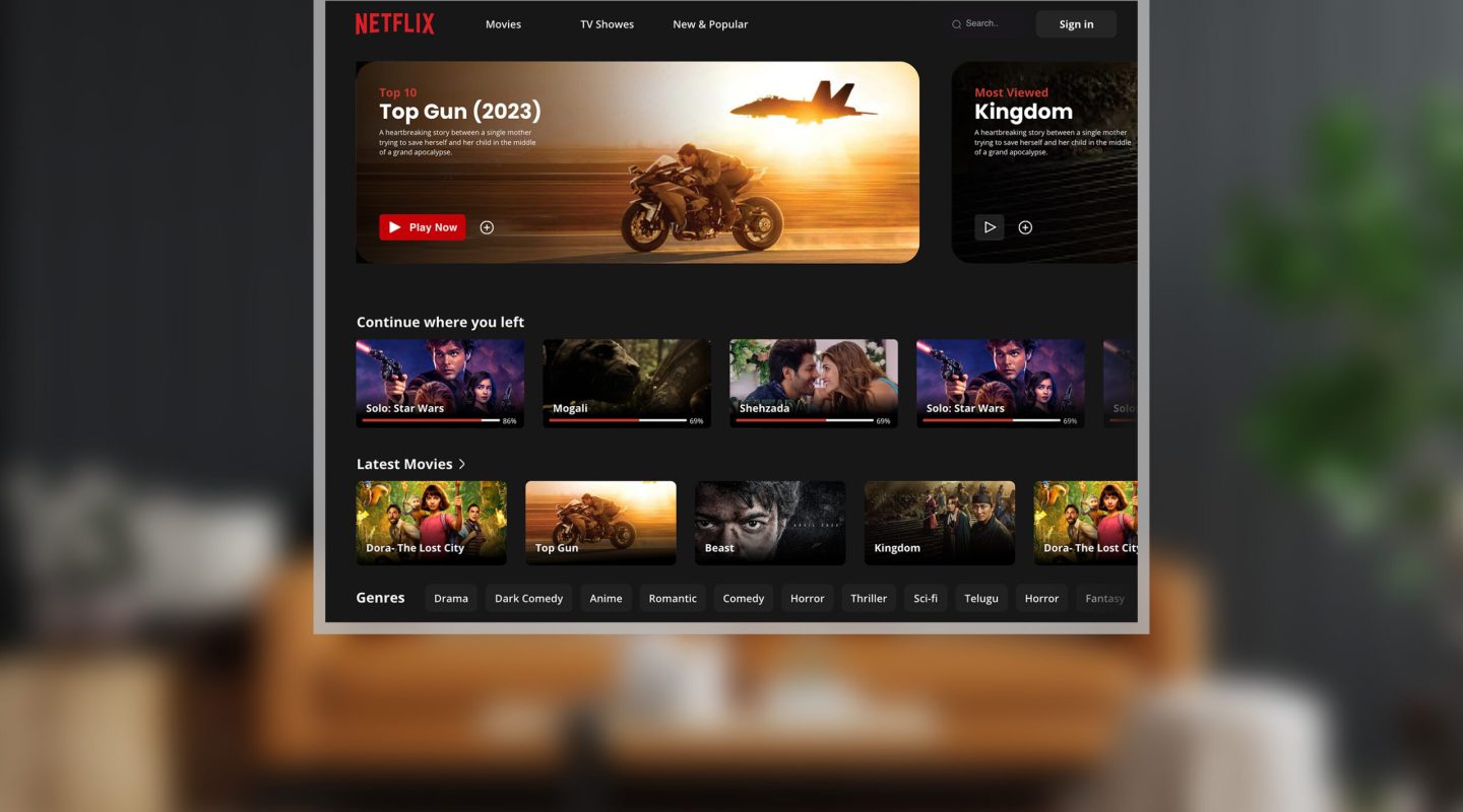 Netflix Mockup_2